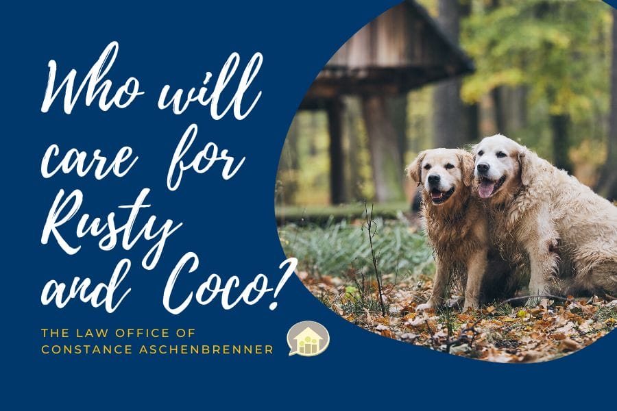 Who Will Care For Rusty & Coco?